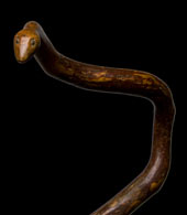 canne naturelle - serpent
